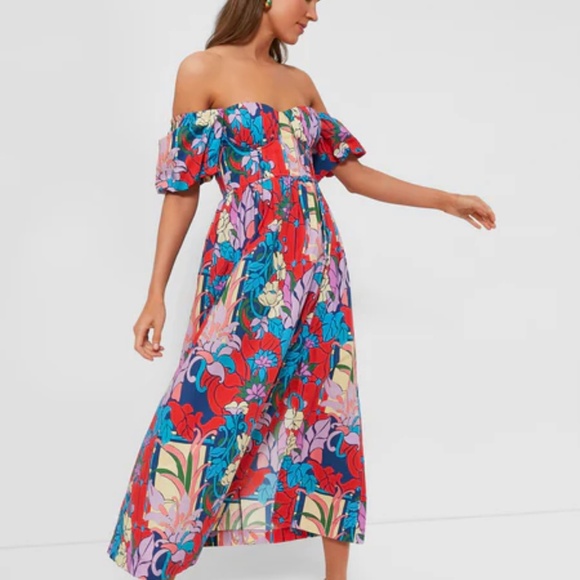 NWT Tuckernuck Climbing Cosmos Valerie dress 8 - Picture 2 of 16